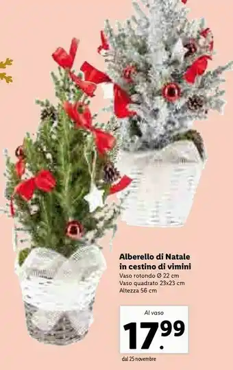 Lidl Alberello di natale offerta