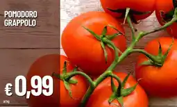 Galassia POMODORO GRAPPOLO offerta
