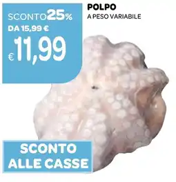 Ekom POLPO A PESO VARIABILE offerta