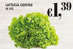 Coal LATTUGA GENTILE AL KG offerta