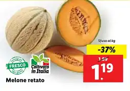 Lidl Melone retato offerta