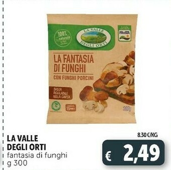 Deco Supermercati Fantasia di funghi 300 g(ml) offerta