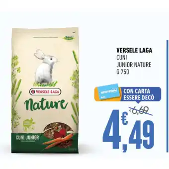 Ayoka VERSELE LAGA offerta