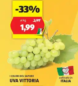 ALDI I COLORI DEL SAPORE UVA VITTORIA offerta