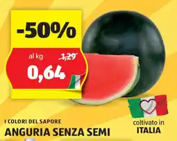 ALDI I COLORI DEL SAPORE ANGURIA SENZA SEMI offerta