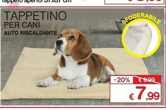 Satur Accessori per cani offerta