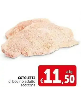 Cotoletta di bovino adulto scottona