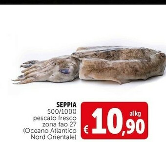 Deco Supermercati Seppia 500/1000 pescato fresco zona fao 27 offerta