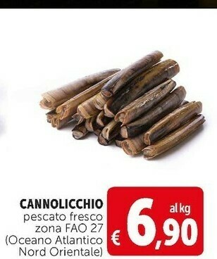 Deco Supermercati Cannolicchio pescato fresco zona fao 27 offerta