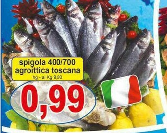 Pewex Orata offerta