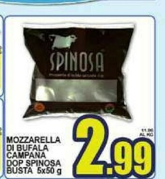 Sacoph Mozzarella di bufala offerta