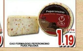 Sacoph Pecorino offerta