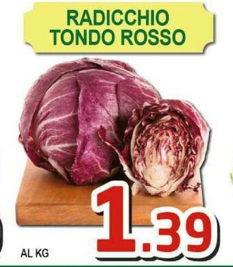 Sacoph Radicchio offerta