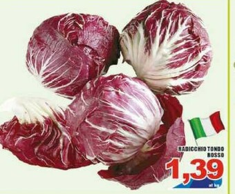 Sacoph Radicchio offerta