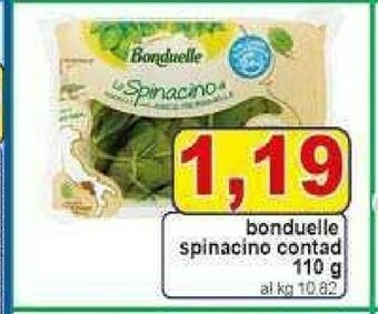 Pewex Insalata offerta