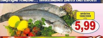 Pewex Pesce offerta