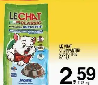 Le chat croccantini
