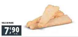 Deco Superfreddo VELE DI MARE offerta
