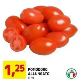 DPiù POMODORO ALLUNGATO offerta