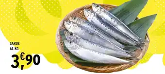 Gecop SARDE offerta