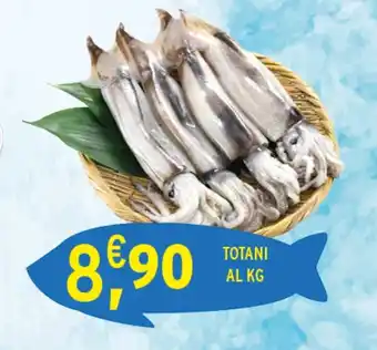 Gecop TOTANI offerta