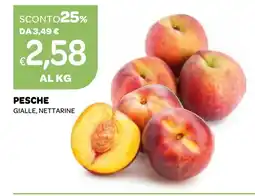 Ekom PESCHE GIALLE, NETTARINE offerta