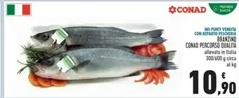 Conad Conad branzino 300 g offerta