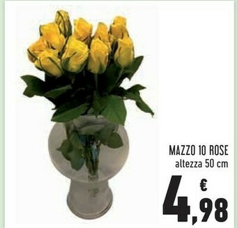 Conad Superstore Piante offerta