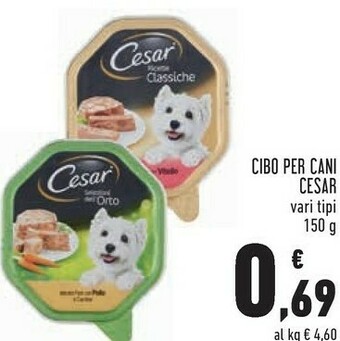 Conad Superstore Cibo per cani offerta