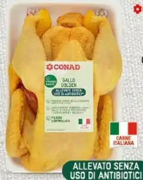 Conad Gallo golden offerta