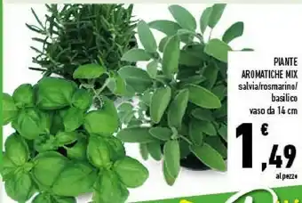 Conad Piante aromatiche mix salvia/ rosmarino/ basilico offerta