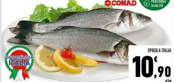 Conad Spigola offerta