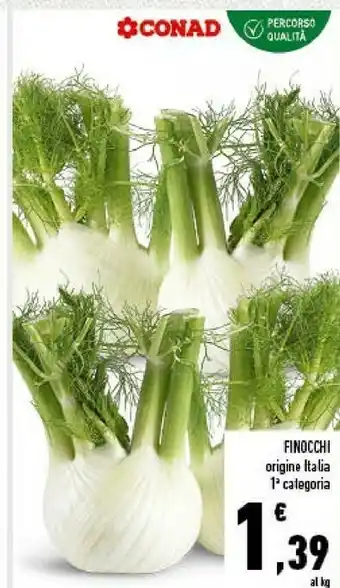 Conad finocchi