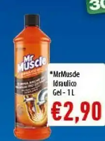 Conad Mr muscle idraulico gel 1000 ml offerta