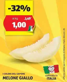 ALDI I COLORI DEL SAPORE MELONE GIALLO offerta