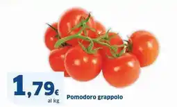 Sigma Pomodoro grappolo offerta
