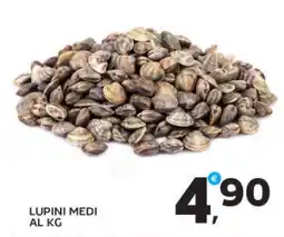Extra Supermercati LUPINI MEDI offerta