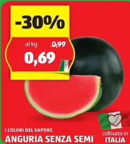 ALDI I COLORI DEL SAPORE ANGURIA SENZA SEMI offerta