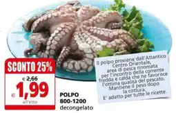 Il Gigante POLPO 800-1200 decongelato offerta
