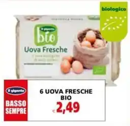 Il Gigante 6 UOVA FRESCHE BIO offerta