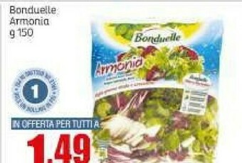 Elite Insalata offerta