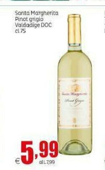 Elite Vino offerta