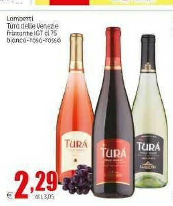 Elite Vino offerta