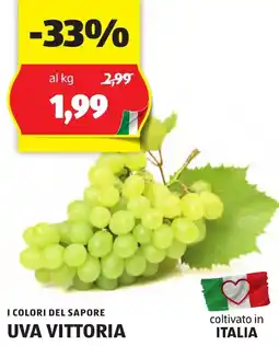 ALDI I COLORI DEL SAPORE UVA VITTORIA offerta