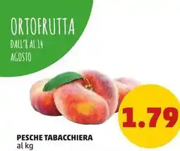 PENNY PESCHE TABACCHIERA offerta