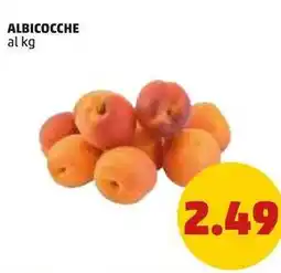PENNY ALBICOCCHE offerta