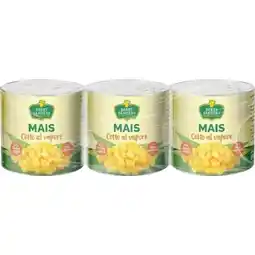 Qui Discount BERRY SANDERS MAIS VAPORE 160 GR X 3 offerta