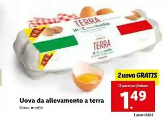 Lidl Uova da allevamento a terra offerta
