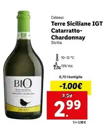 Lidl Catarratto - chardonnay offerta