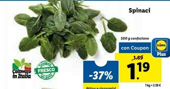 Lidl Spinaci offerta